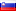 Slovenian Slovenian